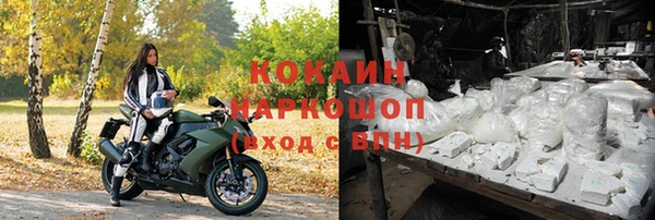 apvp Белокуриха