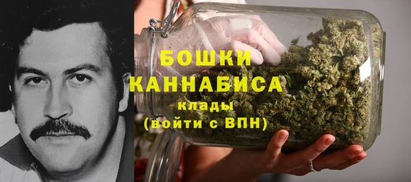 apvp Белокуриха