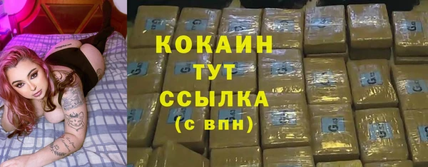 apvp Белокуриха