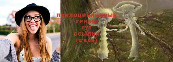 прущий лед Белоозёрский