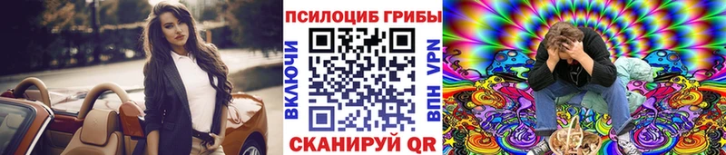 Галлюциногенные грибы прущие грибы  Трубчевск 